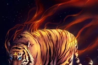 Funny Animal Live Wallpapers Download   Funny Animal Live Wallpapers ...