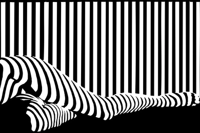 Black And White Stripe Wallpapers All Wallpapers New