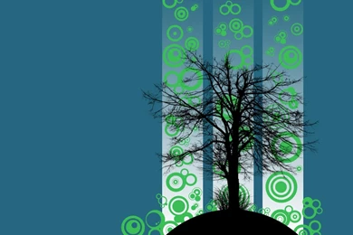 Hd Vector Wallpapers