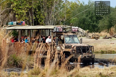 Find, Wagner Wallpapers Steamer