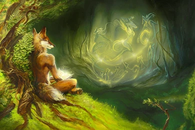 Creature Computer Wallpapers, Desktop Backgrounds