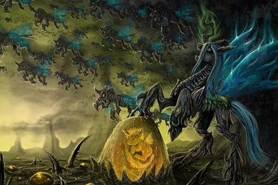 Creature Computer Wallpapers, Desktop Backgrounds