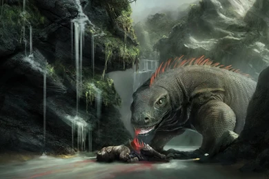 Creature Computer Wallpapers, Desktop Backgrounds