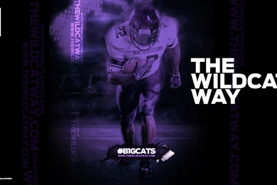 Northwestern Wildcats Wallpapers 4/5