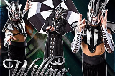 DeviantArt: More Like New TNA Willow 2014 HD Wallpapers By SmileDexizeR