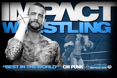 Cm Punk Wallpapers 2015   Wallpapers Cave