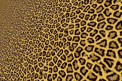Free Illustration: Background, Leopard, Animal, Paper   Free Image ...