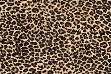 Leopard Skin As Backgrounds