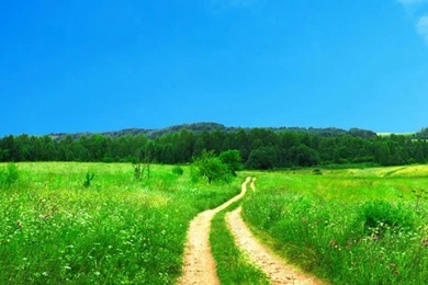 Beautiful way iphone hd ...