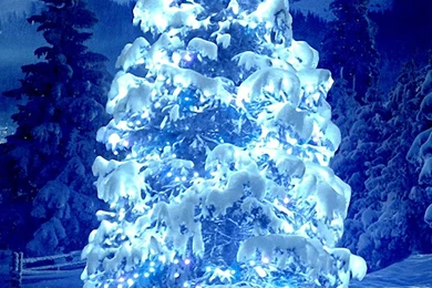 Holiday iPhone 6 Wallpapers HD   Part 2