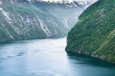 Beautiful Flowers iPhone 5s Wallpapers Download