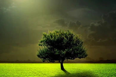 Nature/Landscape Full Moon iPhone 6 Plus Wallpapers   Field, Full ...