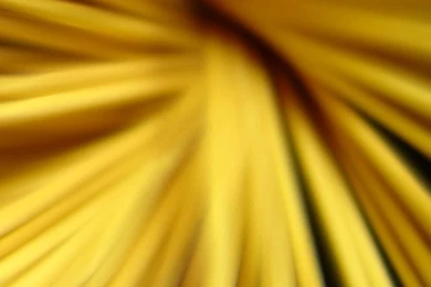 Beautiful iPhone 4 Wallpapers 02 iPhone Wallpapers