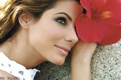 Sandra Bullock And Red Flower Wallpapers Free Sandra Bullock And ...