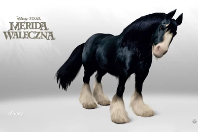 Brave Wallpapers   Brave Photo (32098606)   Fanpop