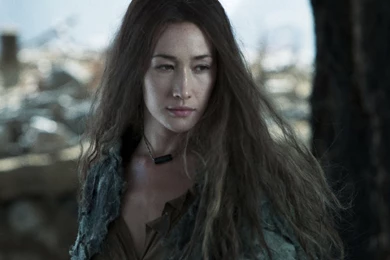 Maggie Q Cool 1920x1200 Wallpapers, 1920x1200 Wallpapers ...