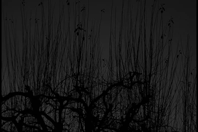 Heavy Metal Backgrounds Wallpapers Cave