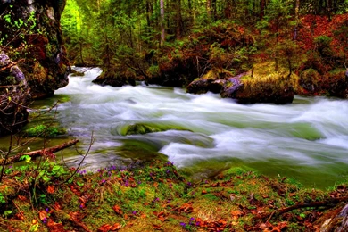 Most beautiful cute wallpapers for desktop.jpg