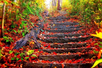 Most Beautiful Free Wallpapers Coolest 1126k   Wallpapers HD Fix