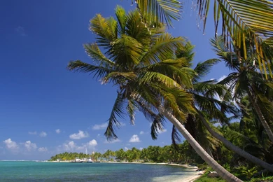 Belize Wallpapers Belize Wallpapers (681085) Fanpop