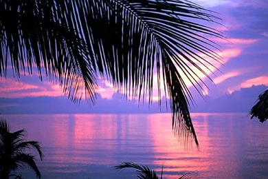 Belize Ocean Picture, Belize Ocean Photo, Belize Ocean Pic