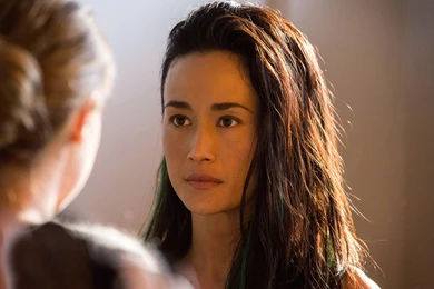Divergent Movie Maggie Q 2v Wallpapers HD