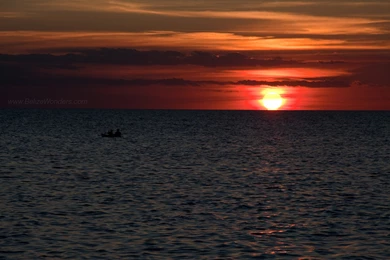 Free Wallpapers By Oli Rusu