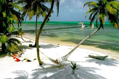 Pictures Of Belize, Ambergris Caye, San Pedro Town, Belize ...