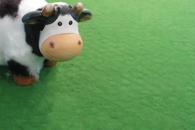 Cute Cow Wallpapers   Wallpapers Cave