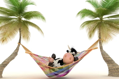 Free Cow Appreciation Day Computer Desktop Wallpapers