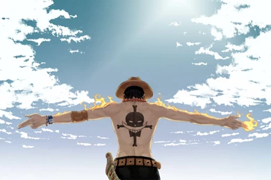 One Piece Wallpapers 3   WideWallpaper.info