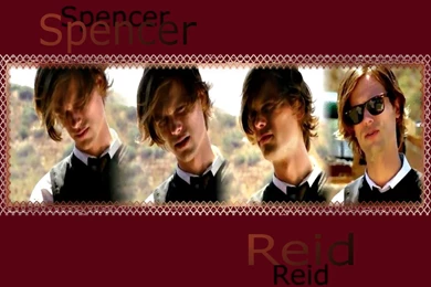 Reid   Dr. Spencer Reid Wallpapers (9899398)   Fanpop