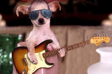 Anushka Shetty Recent Photos In Hd