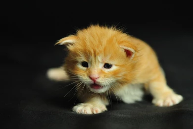 37+ Best HD Cool Wallpapers