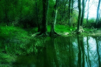 Dreamland Heavenilake Dreamland – Nature Lakes HD Desktop Wallpapers