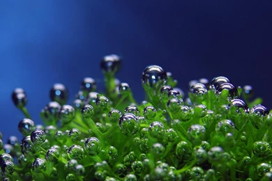 Underwater Water Drops Hd Wallpapers   (