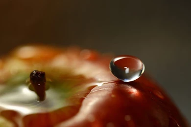 Drop HD Desktop/Mobile Wallpapers