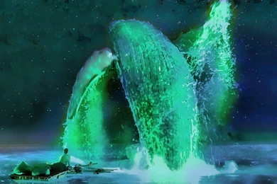 Life Of Pi Computer Wallpapers, Desktop Backgrounds