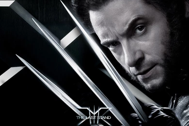 Wolverine   X Men Wallpapers (905173)   Fanpop