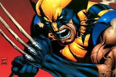 Download X Men Wolverine Wallpapers 800x600