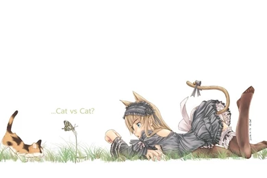 Nekomimi,cats (drawn) Nekomimi Cats Drawn 1680x1050 Wallpapers ...