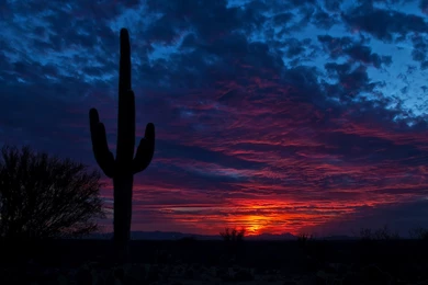 Arizona Sunrise Wallpapers Wide