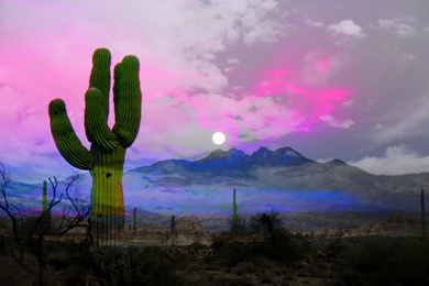 Michael Jackson Twitter Backgrounds, Contact And Graphics, Free ...