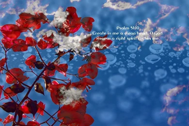 Christian Facebook Profile Covers, Scriptures And Favorite Verses ...