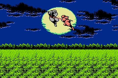 Ninja Gaiden, Video Games, Retro Games Wallpapers HD / Desktop And ...