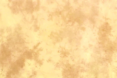 LL LB7854 10'X24' Washable Muslin Backgrounds   Arizona   Lastolite ...