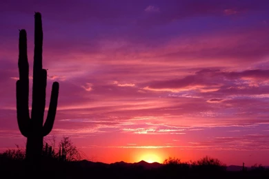Arizona Sunset Pictures Landscape
