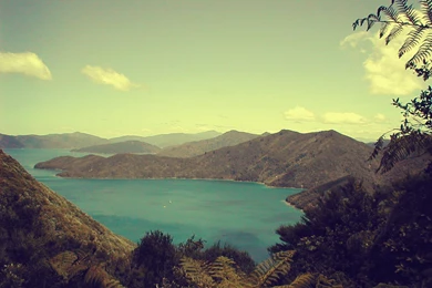 Sarah Broom   The Life And Work Of A New Zealand Poet