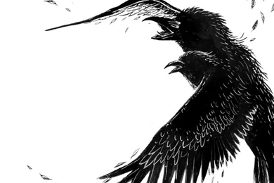 FLOATING BRILLIANT GONE   JESS X CHEN