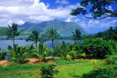 You Re Beautiful Wallpapers